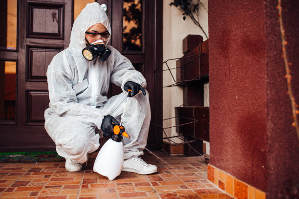 Reliable Wasp Removal contractor in Greenwood, LA by Show Me Pest Control
